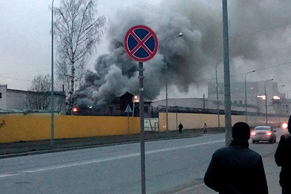 В Петербурге во время пожара в колонии спасли 50 кроликов